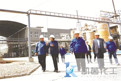 图为调研组在河北石化协会会长张立军、石家庄循环化工园区总工程师王保华、东华金龙总经理苏更须等人陪同下,对区内企业进行实地走访。(赵晨光 摄)