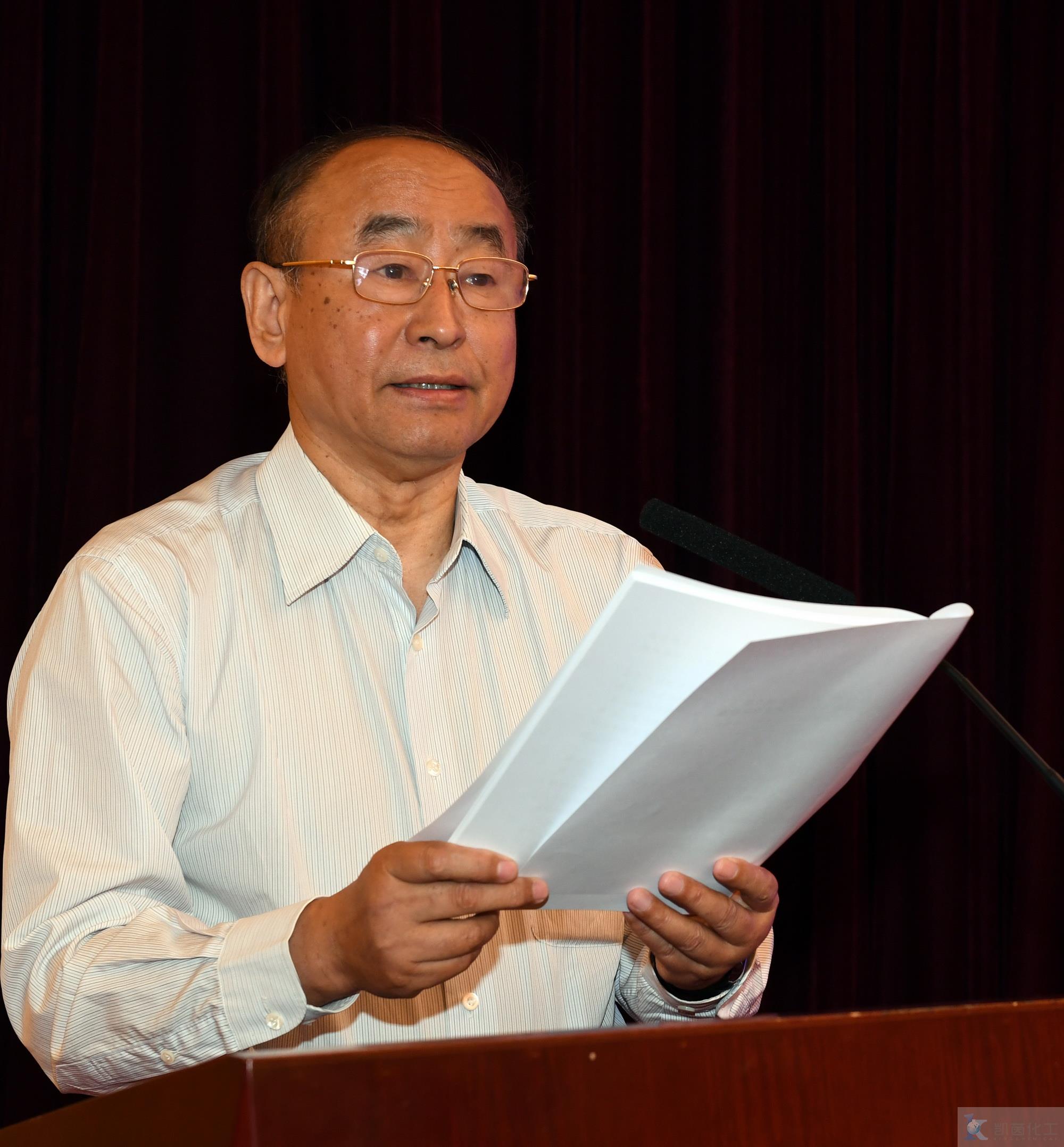 石化联合会会长李寿生做报告