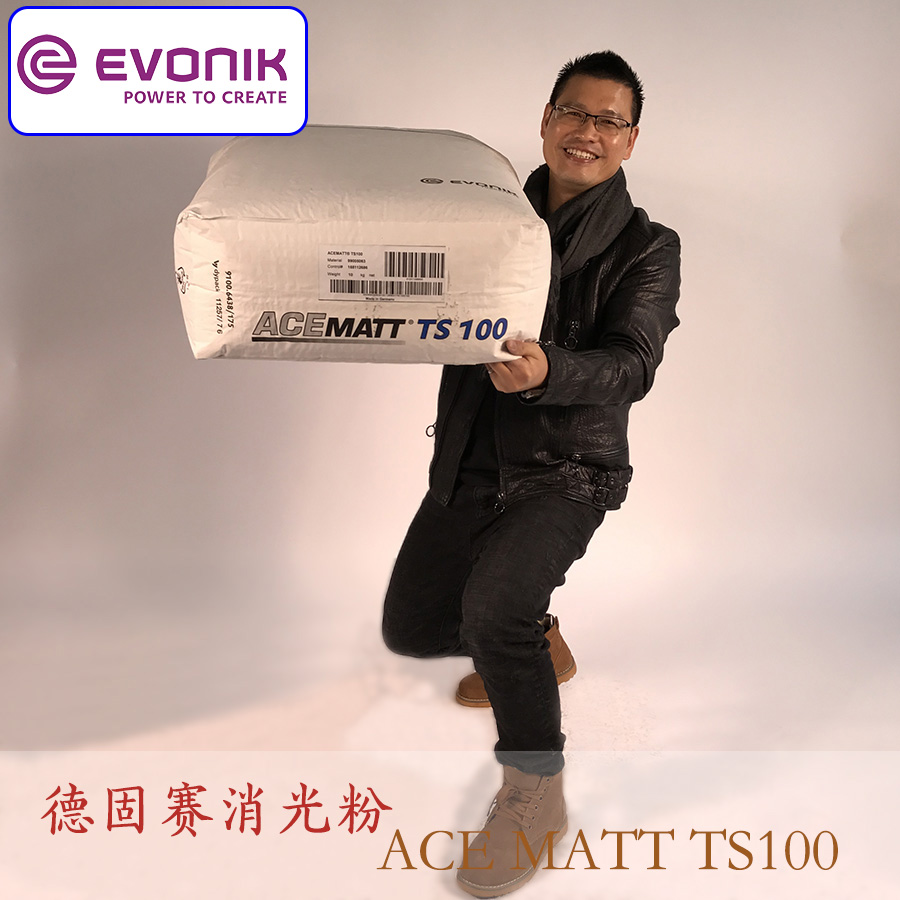 德固赛消光粉TS100