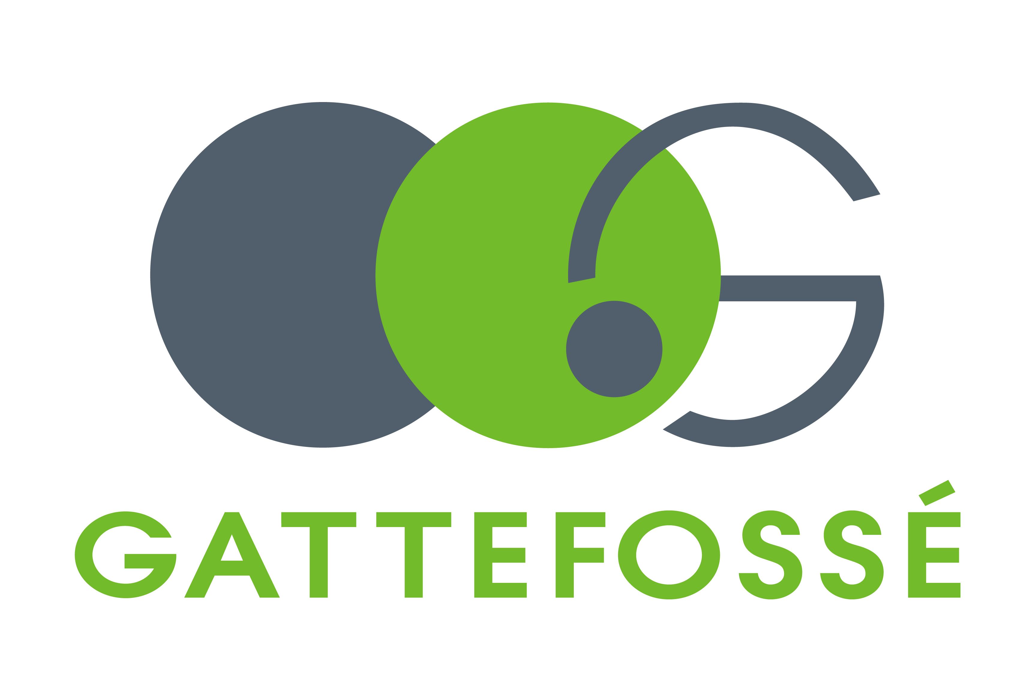 Gattefosse 法国嘉法狮 Emulfree®P MB