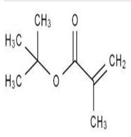 巴斯夫甲基丙烯酸酯TBMA