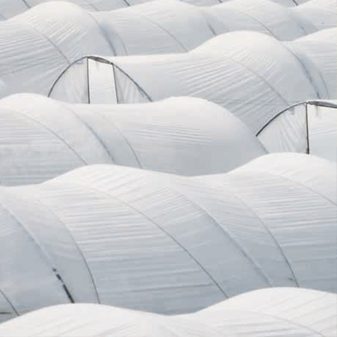 科莱恩Clariant红外抑制剂CESA®-IR