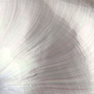 科莱恩Clariant珍珠和丝绸光泽剂Perlogen SF 3000