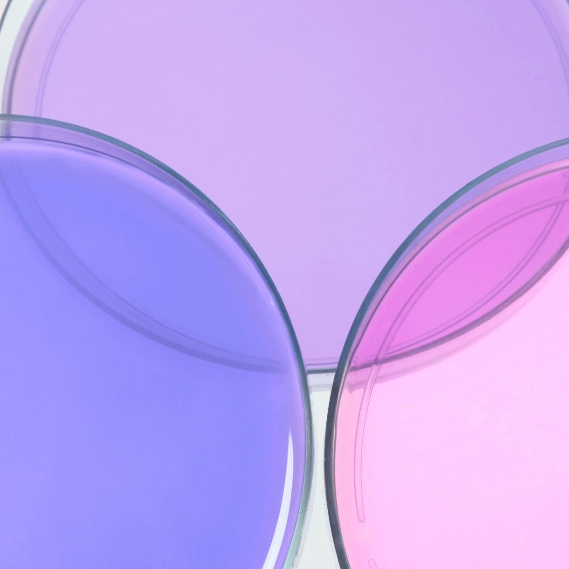 科莱恩Clariant防腐剂Phenonip ME