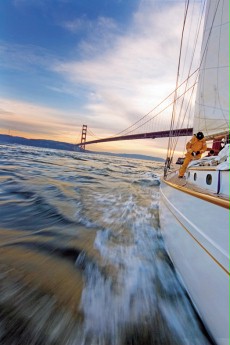 Wacker瓦克气相二氧化硅HDK® N20