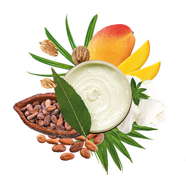 科莱恩Clariant缓和剂Plantasens Shea Butter
