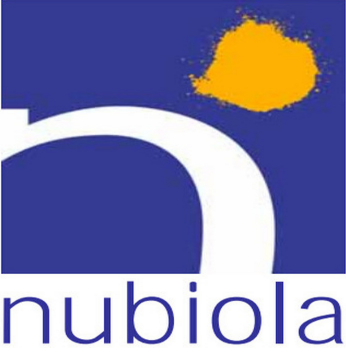 纽碧莱氧化铁红R-5520