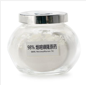 国产一线品牌 98%烟嘧磺隆原药 厂家直供