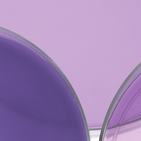 科莱恩Clariant杀菌剂Nipacide TBX