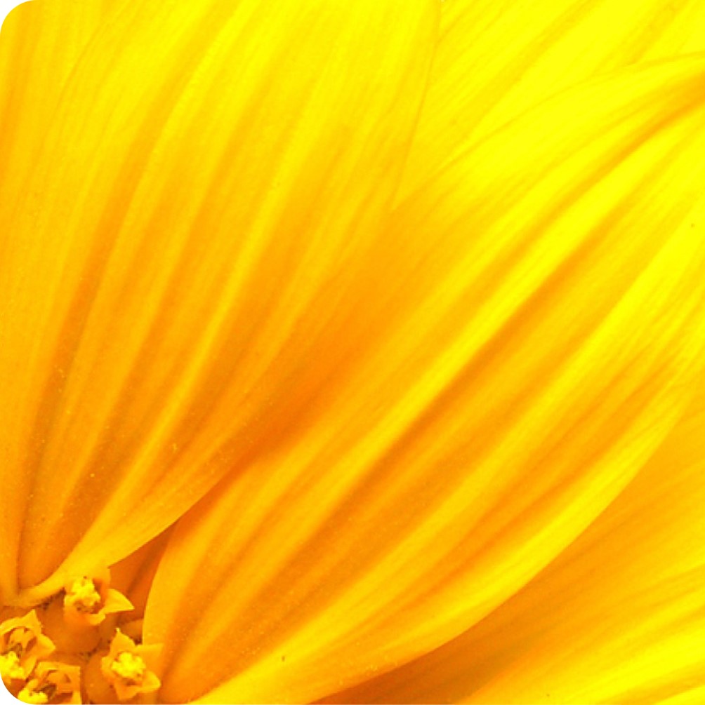 科莱恩Clariant表面活性剂GlucoTain Sense