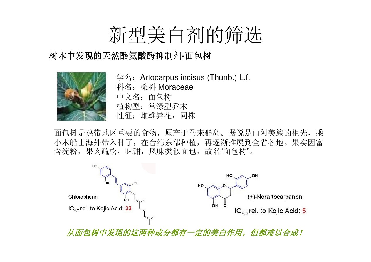 馨肤白 Symwhite 377 phenylethyl resorcinol   苯乙基间苯二酚