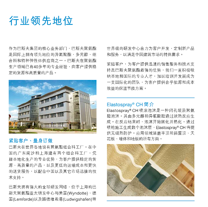 德国巴斯夫喷涂泡沫隔熱保溫材料Elastospray CH